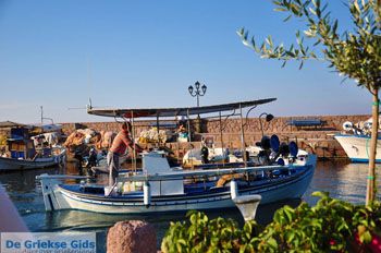 Sykaminia - Skala Sykaminia | Lesbos | De Griekse Gids 29 - Foto van https://www.grieksegids.nl/fotos/lesbos/normaal/lesbos-griekenland-682.jpg