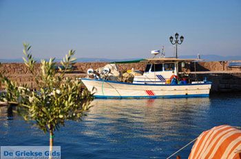 Sykaminia - Skala Sykaminia | Lesbos | De Griekse Gids 31 - Foto van https://www.grieksegids.nl/fotos/lesbos/normaal/lesbos-griekenland-684.jpg