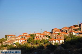 Sykaminia - Skala Sykaminia | Lesbos | De Griekse Gids 32 - Foto van https://www.grieksegids.nl/fotos/lesbos/normaal/lesbos-griekenland-685.jpg