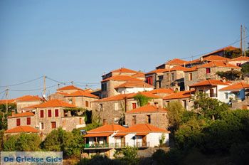 Sykaminia - Skala Sykaminia | Lesbos | De Griekse Gids 33 - Foto van https://www.grieksegids.nl/fotos/lesbos/normaal/lesbos-griekenland-686.jpg