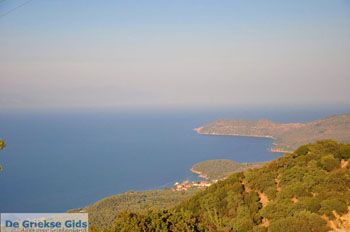 Sykaminia - Skala Sykaminia | Lesbos | De Griekse Gids 39 - Foto van https://www.grieksegids.nl/fotos/lesbos/normaal/lesbos-griekenland-692.jpg