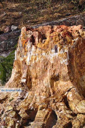 Versteende woud bij Sigri | Lesbos Griekenland | Foto 5 - Foto van https://www.grieksegids.nl/fotos/lesbos/normaal/lesbos-griekenland-718.jpg