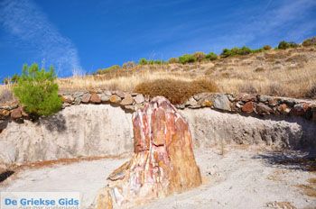 Versteende woud bij Sigri | Lesbos Griekenland | Foto 7 - Foto van https://www.grieksegids.nl/fotos/lesbos/normaal/lesbos-griekenland-720.jpg