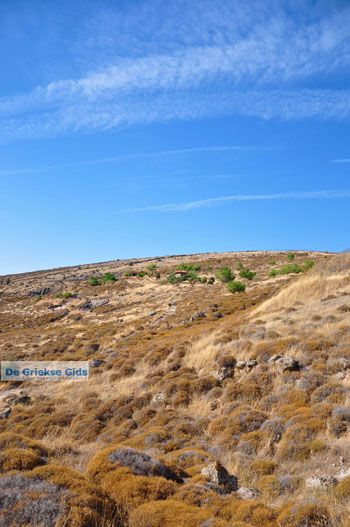 Versteende woud bij Sigri | Lesbos Griekenland | Foto 9 - Foto van https://www.grieksegids.nl/fotos/lesbos/normaal/lesbos-griekenland-722.jpg
