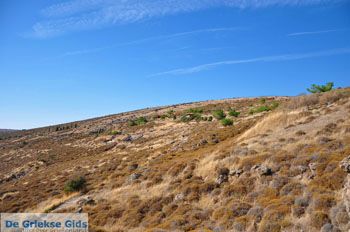 Versteende woud bij Sigri | Lesbos Griekenland | Foto 10 - Foto van https://www.grieksegids.nl/fotos/lesbos/normaal/lesbos-griekenland-723.jpg