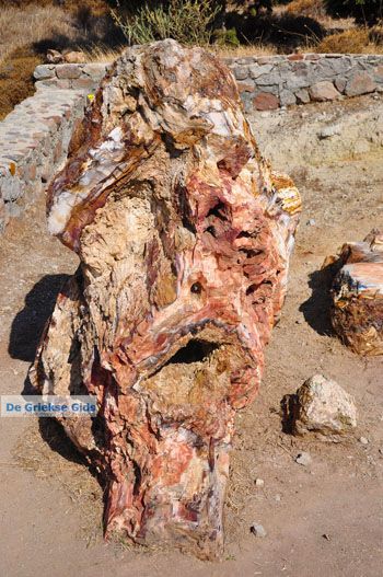 Versteende woud bij Sigri | Lesbos Griekenland | Foto 15 - Foto van https://www.grieksegids.nl/fotos/lesbos/normaal/lesbos-griekenland-728.jpg