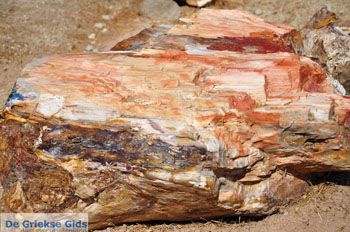 Versteende woud bij Sigri | Lesbos Griekenland | Foto 18 - Foto van https://www.grieksegids.nl/fotos/lesbos/normaal/lesbos-griekenland-731.jpg