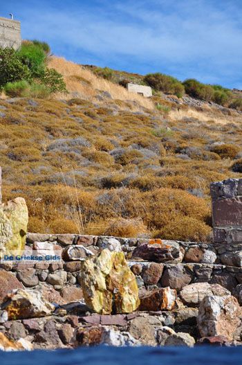 Versteende woud bij Sigri | Lesbos Griekenland | Foto 32 - Foto van https://www.grieksegids.nl/fotos/lesbos/normaal/lesbos-griekenland-745.jpg