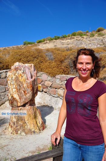 Versteende woud bij Sigri | Lesbos Griekenland | Foto 44 - Foto van https://www.grieksegids.nl/fotos/lesbos/normaal/lesbos-griekenland-757.jpg