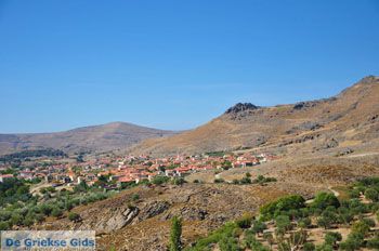 Eressos en Skala Eressos | Lesbos Griekenland | Foto 1 - Foto van https://www.grieksegids.nl/fotos/lesbos/normaal/lesbos-griekenland-800.jpg