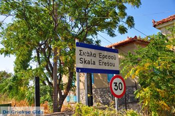 Eressos en Skala Eressos | Lesbos Griekenland | Foto 4 - Foto van https://www.grieksegids.nl/fotos/lesbos/normaal/lesbos-griekenland-803.jpg