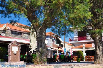 Eressos en Skala Eressos | Lesbos Griekenland | Foto 10 - Foto van https://www.grieksegids.nl/fotos/lesbos/normaal/lesbos-griekenland-809.jpg