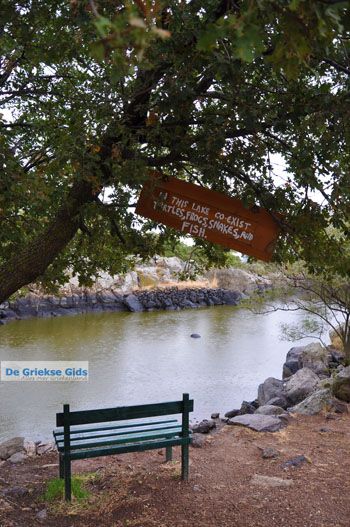 Molyvos Lesbos | Griekenland 177 - Foto van https://www.grieksegids.nl/fotos/lesbos/normaal/lesbos-griekenland-842.jpg