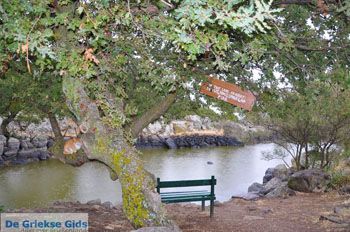 Molyvos Lesbos | Griekenland 180 - Foto van https://www.grieksegids.nl/fotos/lesbos/normaal/lesbos-griekenland-845.jpg