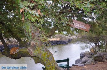 Molyvos Lesbos | Griekenland 182 - Foto van https://www.grieksegids.nl/fotos/lesbos/normaal/lesbos-griekenland-847.jpg