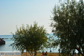 Agios Ioannis Kaspakas Limnos (Lemnos) | Griekenland foto 16 - Foto van https://www.grieksegids.nl/fotos/limnos/agios-ioannis-kaspakas/normaal/agios-ioannis-kaspakas-016.jpg