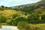 GriechenlandWeb.de Dafni Limnos (Lemnos) | Griechenland | Foto 1 - Foto GriechenlandWeb.de