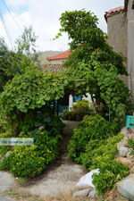 GriechenlandWeb.de Dafni Limnos (Lemnos) | Griechenland | Foto 5 - Foto GriechenlandWeb.de