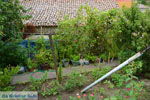 Foto Limnos Ägäische Inseln GriechenlandWeb - Foto GriechenlandWeb.de