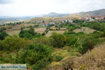 GriechenlandWeb.de Dafni Limnos (Lemnos) | Griechenland | Foto 22 - Foto GriechenlandWeb.de
