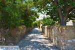 GriechenlandWeb.de Livadochori Limnos (Lemnos) | Griechenland | Foto 14 - Foto GriechenlandWeb.de