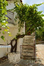 GriechenlandWeb Sardes Limnos (Lemnos) | Griechenland | Foto 10 - Foto GriechenlandWeb.de