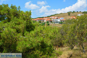 Agios Dimitrios Limnos (Lemnos)  | Griekenland | Foto 3 - Foto van https://www.grieksegids.nl/fotos/limnos/lemnos/normaal/agios-dimitrios-limnos-003.jpg
