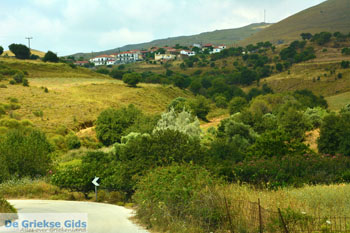 Dafni Limnos (Lemnos) | Griekenland | Foto 1 - Foto van https://www.grieksegids.nl/fotos/limnos/lemnos/normaal/dafni-limnos-001.jpg