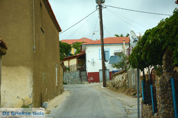Dafni Limnos (Lemnos) | Griekenland | Foto 3 - Foto van https://www.grieksegids.nl/fotos/limnos/lemnos/normaal/dafni-limnos-003.jpg