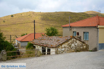 Dafni Limnos (Lemnos) | Griekenland | Foto 4 - Foto van https://www.grieksegids.nl/fotos/limnos/lemnos/normaal/dafni-limnos-004.jpg