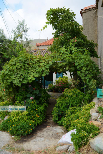 Dafni Limnos (Lemnos) | Griekenland | Foto 5 - Foto van https://www.grieksegids.nl/fotos/limnos/lemnos/normaal/dafni-limnos-005.jpg