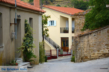 Dafni Limnos (Lemnos) | Griekenland | Foto 8 - Foto van https://www.grieksegids.nl/fotos/limnos/lemnos/normaal/dafni-limnos-008.jpg