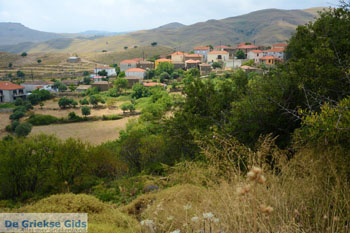 Dafni Limnos (Lemnos) | Griekenland | Foto 20 - Foto van https://www.grieksegids.nl/fotos/limnos/lemnos/normaal/dafni-limnos-020.jpg