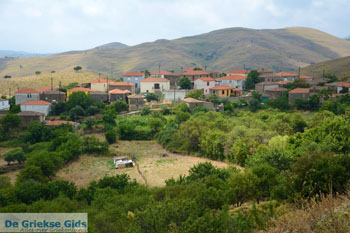 Dafni Limnos (Lemnos) | Griekenland | Foto 21 - Foto van https://www.grieksegids.nl/fotos/limnos/lemnos/normaal/dafni-limnos-021.jpg