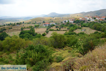 Dafni Limnos (Lemnos) | Griekenland | Foto 22 - Foto van https://www.grieksegids.nl/fotos/limnos/lemnos/normaal/dafni-limnos-022.jpg