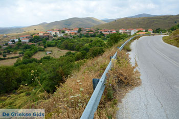 Dafni Limnos (Lemnos) | Griekenland | Foto 23 - Foto van https://www.grieksegids.nl/fotos/limnos/lemnos/normaal/dafni-limnos-023.jpg