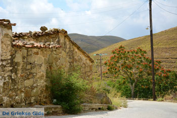 Dafni Limnos (Lemnos) | Griekenland | Foto 24 - Foto van https://www.grieksegids.nl/fotos/limnos/lemnos/normaal/dafni-limnos-024.jpg