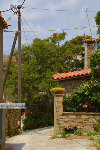 Kornos Limnos (Lemnos) | Griekenland | Foto 8 - Foto van https://www.grieksegids.nl/fotos/limnos/lemnos/normaal/kornos-limnos-008.jpg