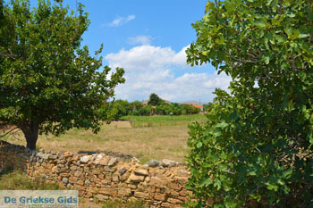 Livadochori Limnos (Lemnos) | Griekenland | Foto 1 - Foto van https://www.grieksegids.nl/fotos/limnos/lemnos/normaal/livadochori-limnos-001.jpg