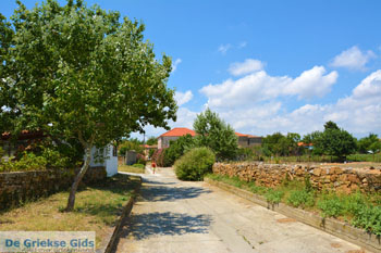 Livadochori Limnos (Lemnos) | Griekenland | Foto 2 - Foto van https://www.grieksegids.nl/fotos/limnos/lemnos/normaal/livadochori-limnos-002.jpg