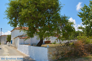 Livadochori Limnos (Lemnos) | Griekenland | Foto 3 - Foto van https://www.grieksegids.nl/fotos/limnos/lemnos/normaal/livadochori-limnos-003.jpg