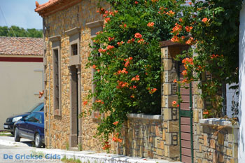 Livadochori Limnos (Lemnos) | Griekenland | Foto 9 - Foto van https://www.grieksegids.nl/fotos/limnos/lemnos/normaal/livadochori-limnos-009.jpg