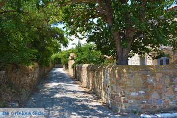Livadochori Limnos (Lemnos) | Griekenland | Foto 13 - Foto van https://www.grieksegids.nl/fotos/limnos/lemnos/normaal/livadochori-limnos-013.jpg