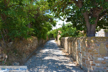 Livadochori Limnos (Lemnos) | Griekenland | Foto 14 - Foto van https://www.grieksegids.nl/fotos/limnos/lemnos/normaal/livadochori-limnos-014.jpg