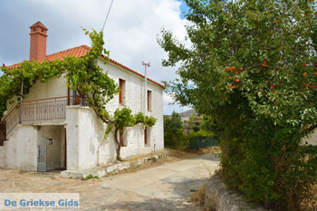 Sardes Limnos (Lemnos) | Griekenland | Foto 2 - Foto van https://www.grieksegids.nl/fotos/limnos/lemnos/normaal/sardes-limnos-002.jpg