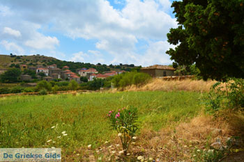 Sardes Limnos (Lemnos) | Griekenland | Foto 6 - Foto van https://www.grieksegids.nl/fotos/limnos/lemnos/normaal/sardes-limnos-006.jpg