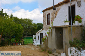 Sardes Limnos (Lemnos) | Griekenland | Foto 12 - Foto van https://www.grieksegids.nl/fotos/limnos/lemnos/normaal/sardes-limnos-012.jpg