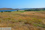 Ifestia Limnos (Lemnos) | Griekenland  | Foto 1 - Foto van De Griekse Gids