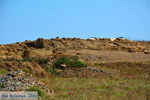 Ifestia Limnos (Lemnos) | Griekenland  | Foto 28 - Foto van De Griekse Gids