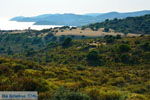 Bij Gomati en woestijn Amothines Katalakos Limnos (Lemnos) foto 3 - Foto van De Griekse Gids